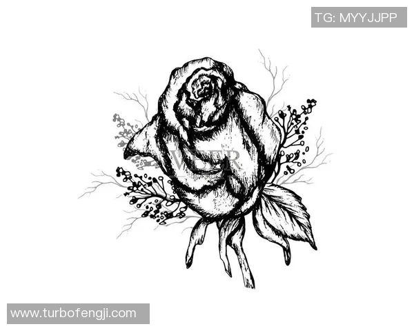 素描足球的艺术魅力与技巧探讨让我们一起领略球场上的线条之美